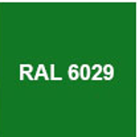 RAL 6029